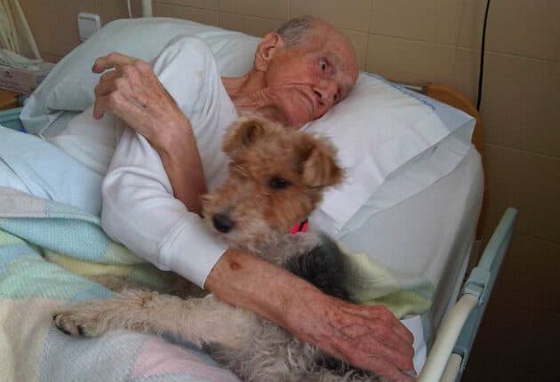 Un hombre mayor, acostado en la cama, abraza a su perro
